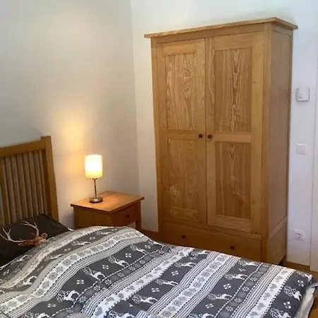 Apartment Steinadler Gamsleiten Fl - Skiing In