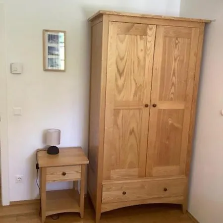 Apartment Steinadler Gamsleiten Fl - Skiing In *